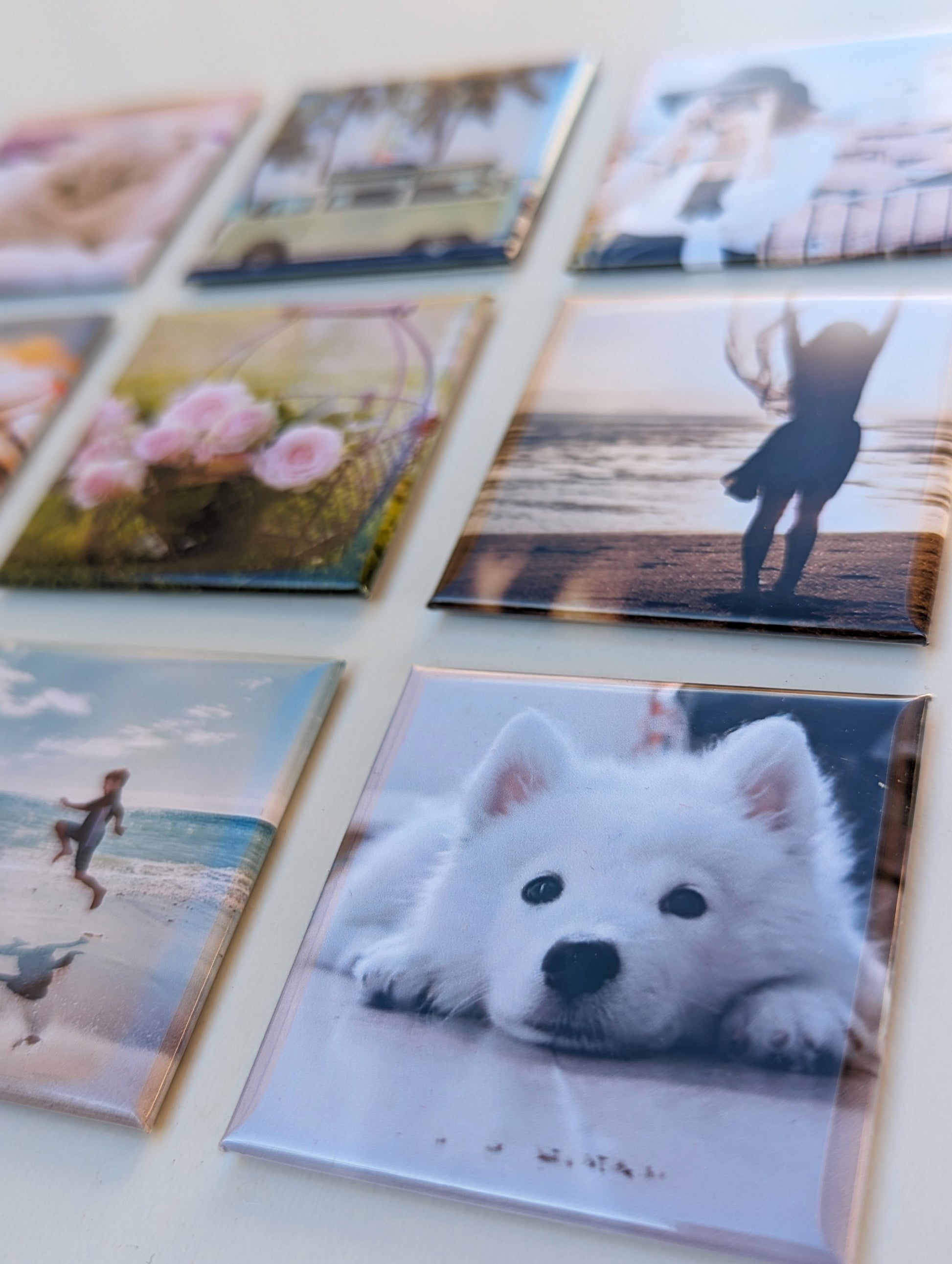 pet pictures into fridge magnets